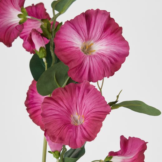 000000001000512755-1