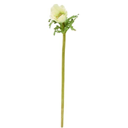 FLORISTA SZELLŐRÓZSA ZÖLD 36CM