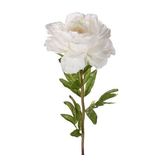FLORISTA BAZSARÓZSA FEHÉR 80CM