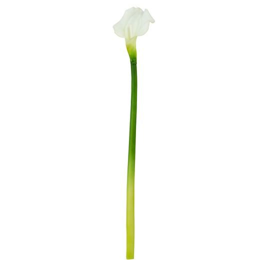 FLORISTA KÁLA KRÉM 55CM