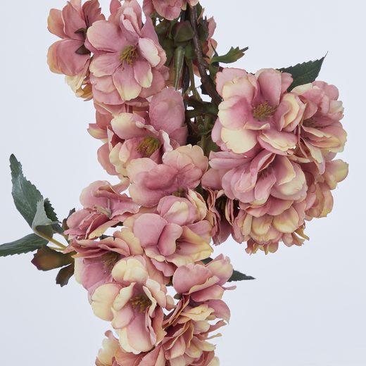 000000001000485231-1