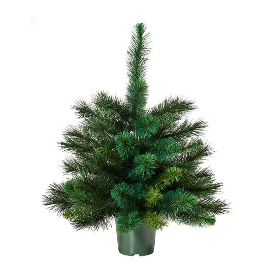 TREE OF THE MONTH MŰFENYŐ, 90 CM