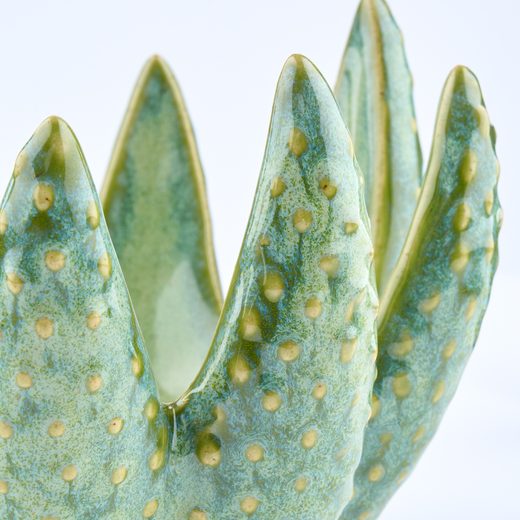 000000001000502676-2