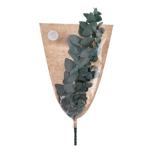 FLOWER MARKET SZÁRÍTOTT EUKALIPTUSZ, ZÖLD 60CM