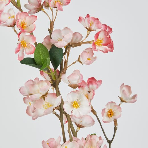 000000001000512744-1