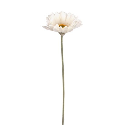 FLORISTA GERBERA FEHÉR 54CM