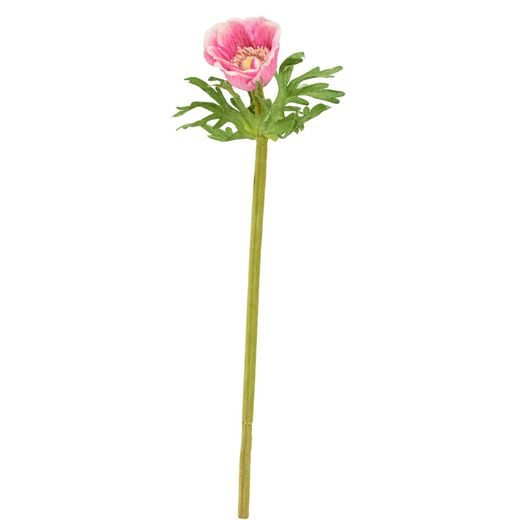 FLORISTA SZELLŐRÓZSA PINK 36CM