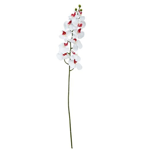 FLORISTA ORCHIDEA KRÉM 100CM