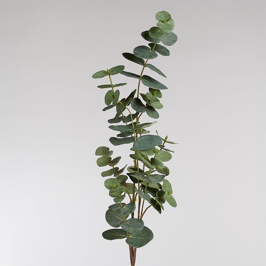 000000001000452907-1