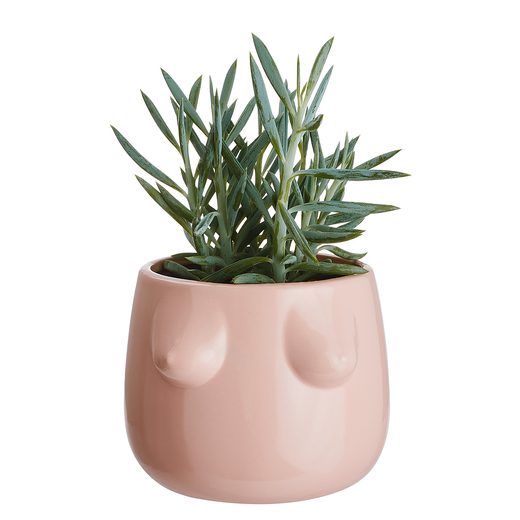 000000001000421440-1