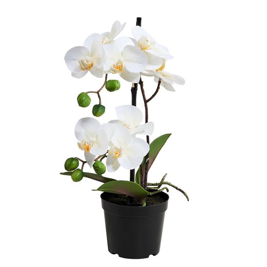 FLORISTA CSEREPES ORCHIDEA, 35 CM