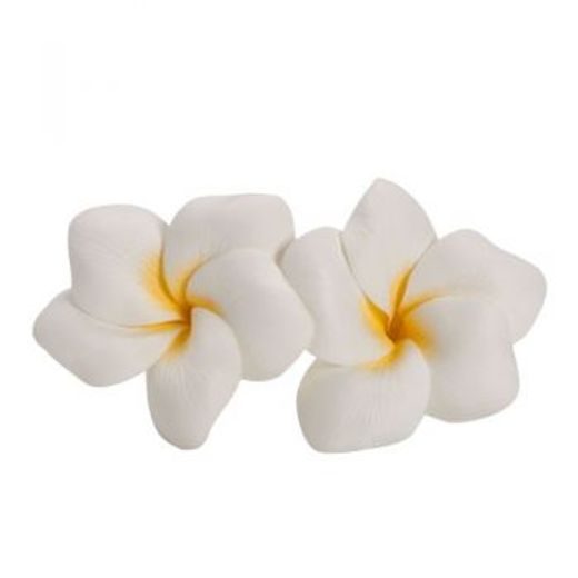 FLORISTA FRANGIPANI FEJEK 4DB FEHÉR
