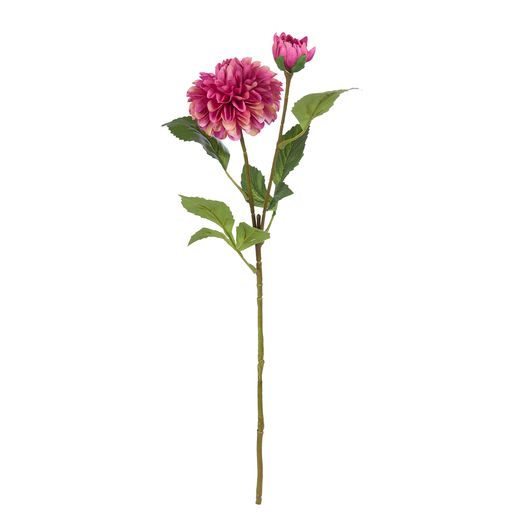 FLORISTA BAZSARÓZSA, PINK