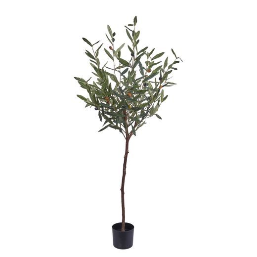 FLORISTA CSEREPES OLAJFA 120 CM