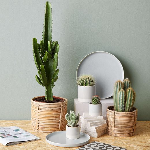 000000001000341420-2