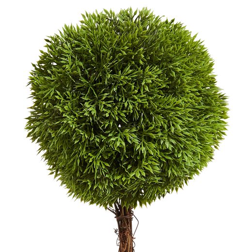 000000001000339843-1