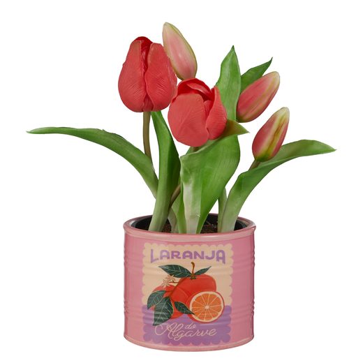 000000001000509923-1