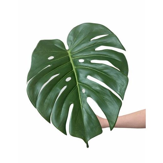 FLORISTA MONSTERA LEVÉL 60CM