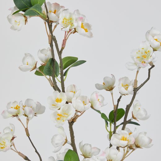 000000001000512731-1