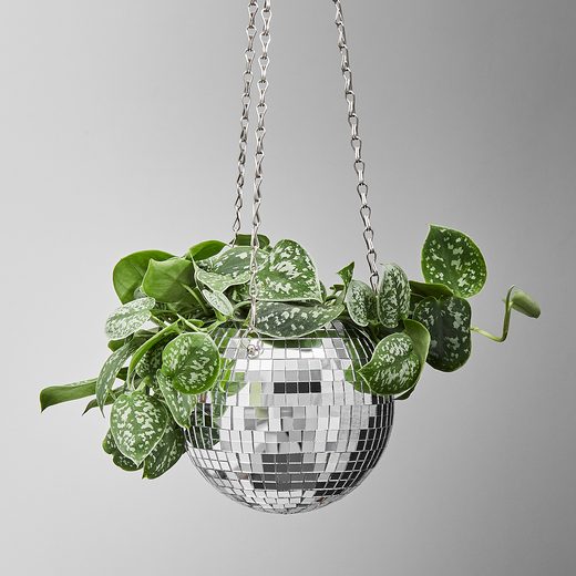 000000001000413584-1