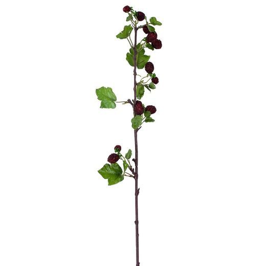 WINTERGREEN SZEDER ÁG