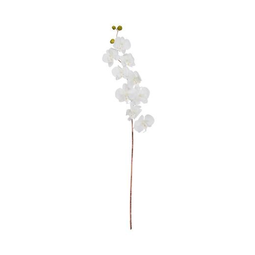 WINTERGREEN ORCHIDEA ÁG, FEHÉR, 82 CM