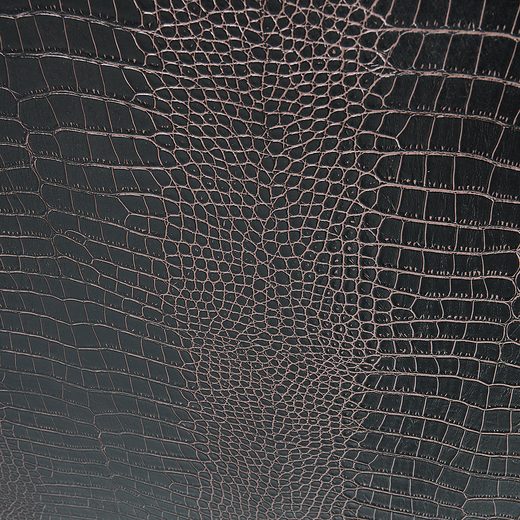 000000001000365668-10