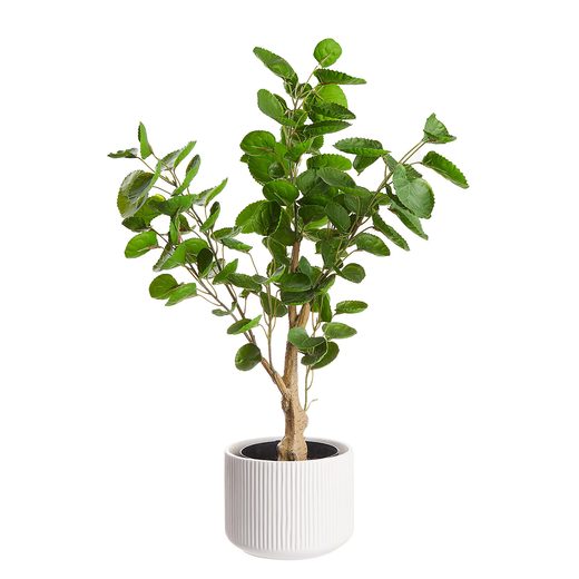 000000001000405703-4