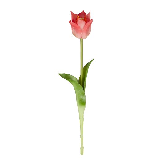 FLORISTA TULIPÁN 45 CM, SÖTÉT RÓZSASZÍN