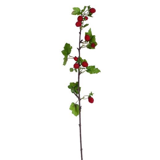 WINTERGREEN MÁLNA ÁG