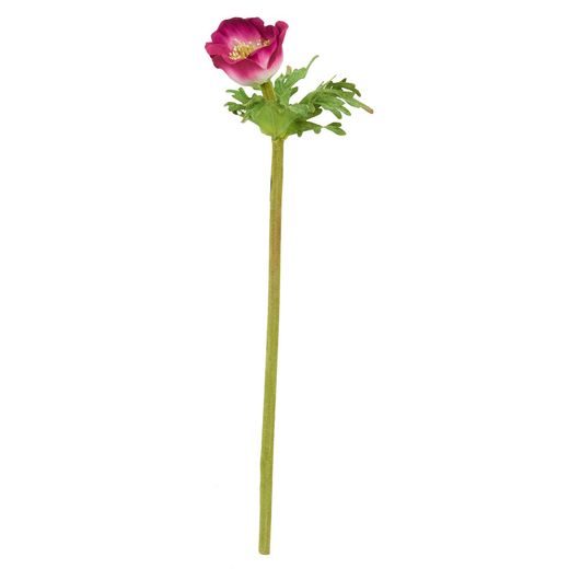 FLORISTA SZELLŐRÓZSA FUKSZIA 36CM