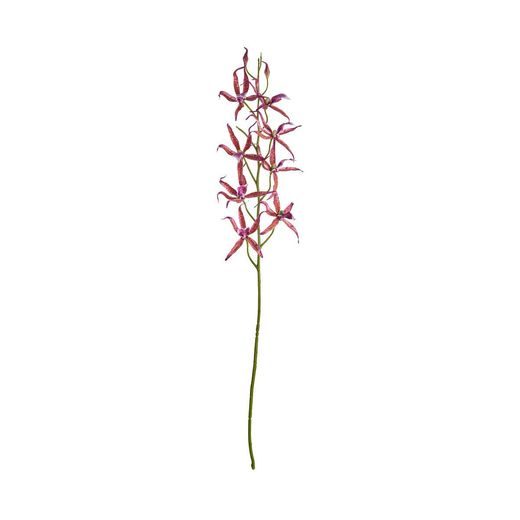 FLORISTA PÓK ORCHIDEA, PINK 80 CM