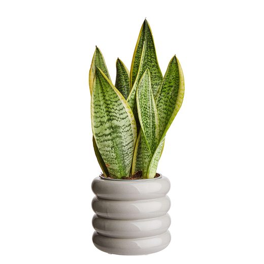 000000001000403773-2