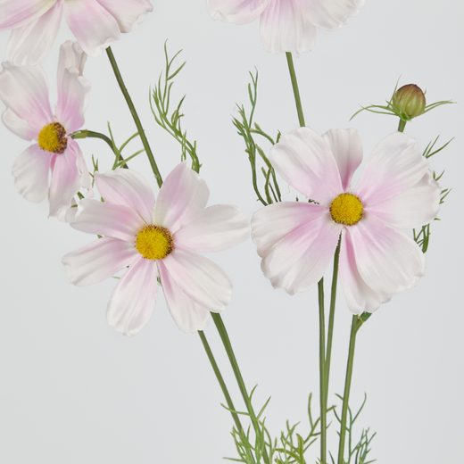 000000001000512752-1