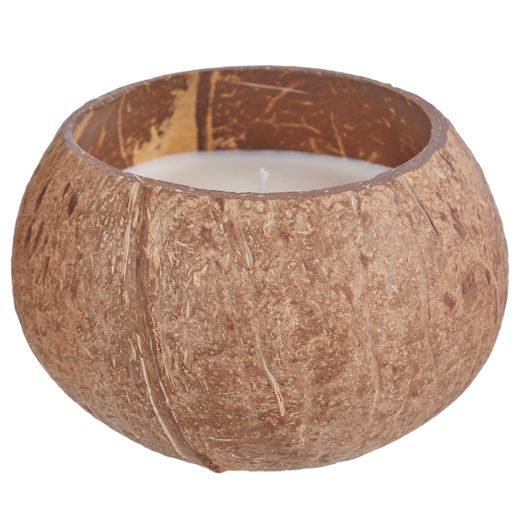 COCONUT ILLATGYERTYA