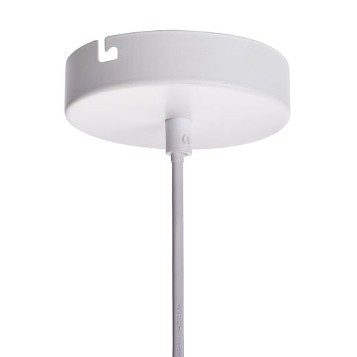 000000001000445091-11