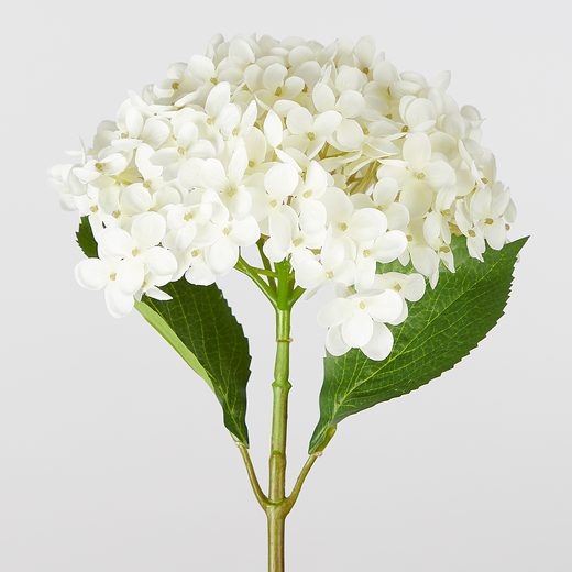 000000001000452898-1