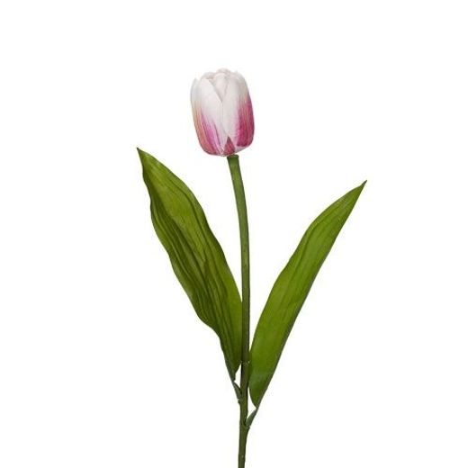FLORISTA TULIPÁN FEHÉR 55CM