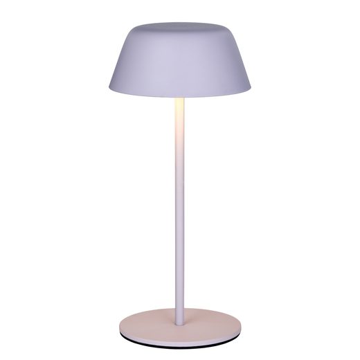 000000001000531390-3