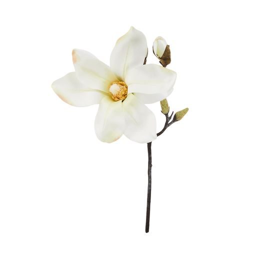 FLORISTA MAGNOLIA, FEHÉR 33 CM