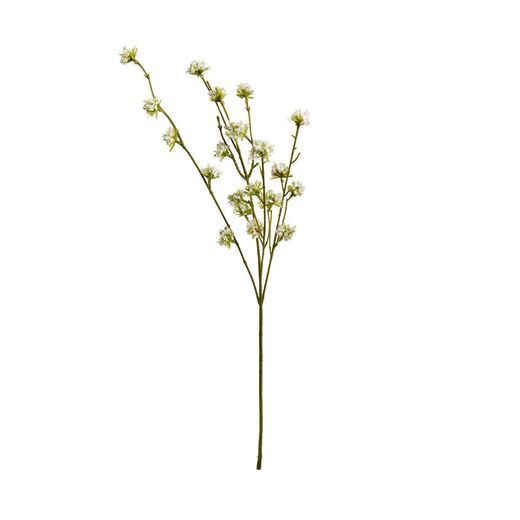 FLORISTA ÁG, 56 CM