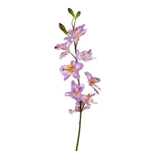 FLORISTA ORCHIDEA ÁG V.LILA 116CM