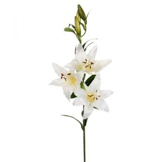 FLORISTA LILIOM FEHÉR