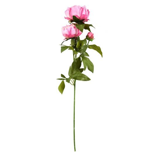 FLORISTA BABARÓZSA PINK 70CM