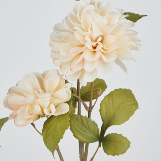 000000001000484640-1