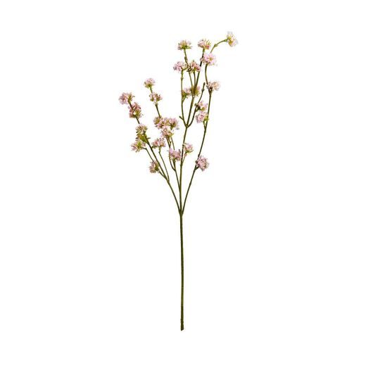 FLORISTA ÁG, 56 CM