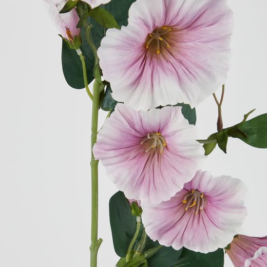 000000001000512747-1