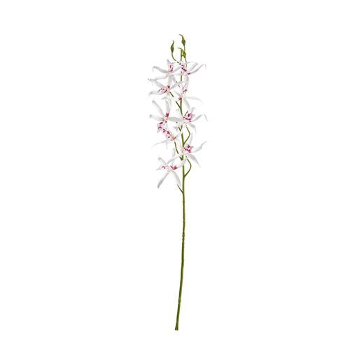 FLORISTA PÓK ORCHIDEA, KRÉMSZÍN 80 CM