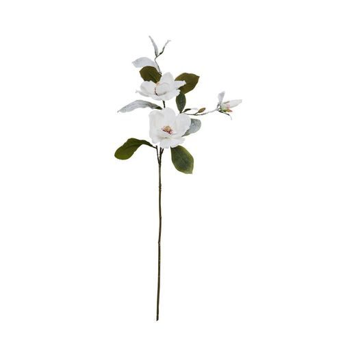 WINTERGREEN HAVAS MAGNOLIA, 84 CM