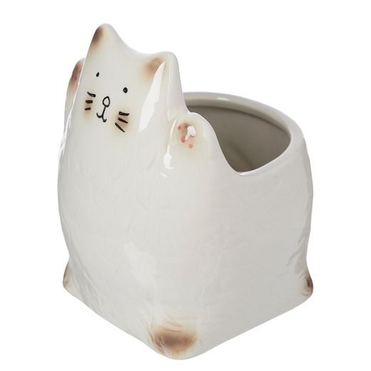 KITTY KASPÓ, CICA